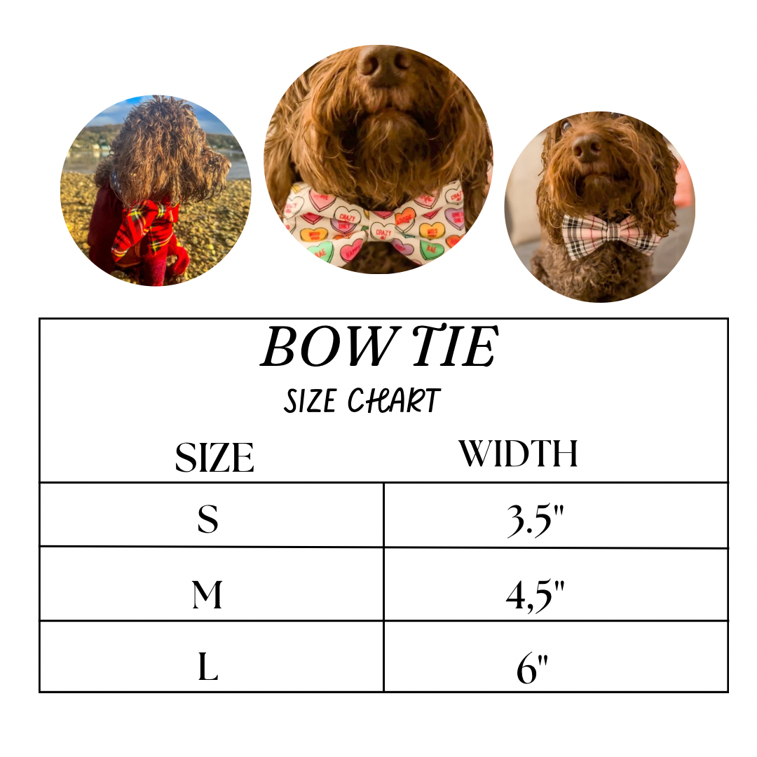 Brave in Blue Bow Tie