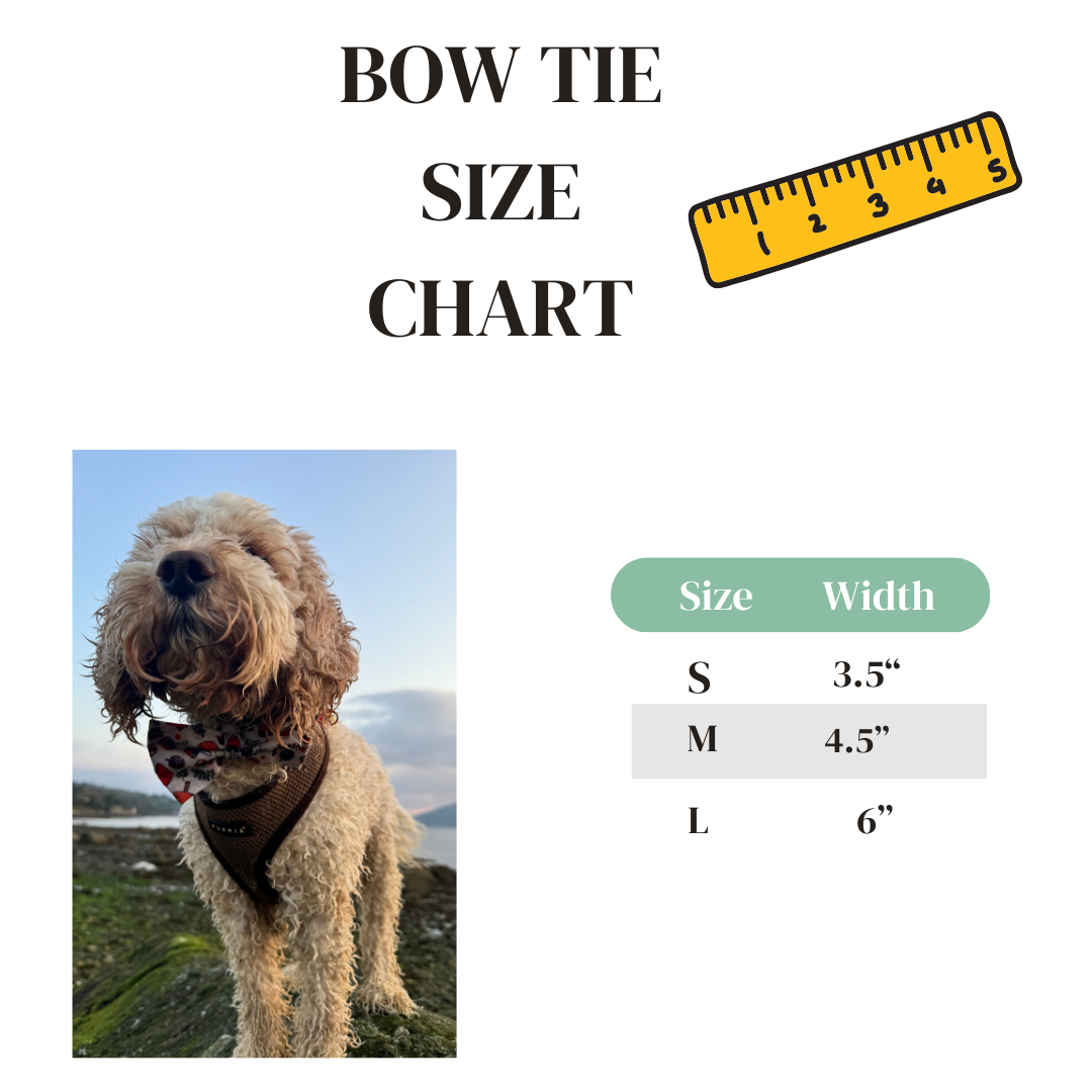 Cast A Spell Bow Tie