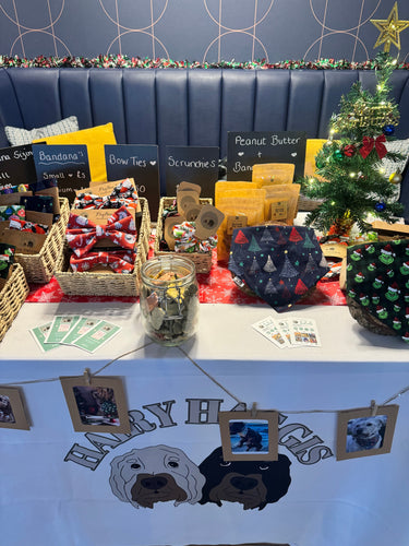 Our First Christmas Craft Fair