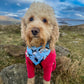 Pretty Puffin Bandana