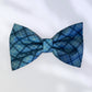 Brave in Blue Bow Tie