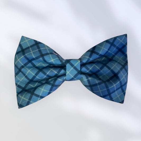 Brave in Blue Bow Tie