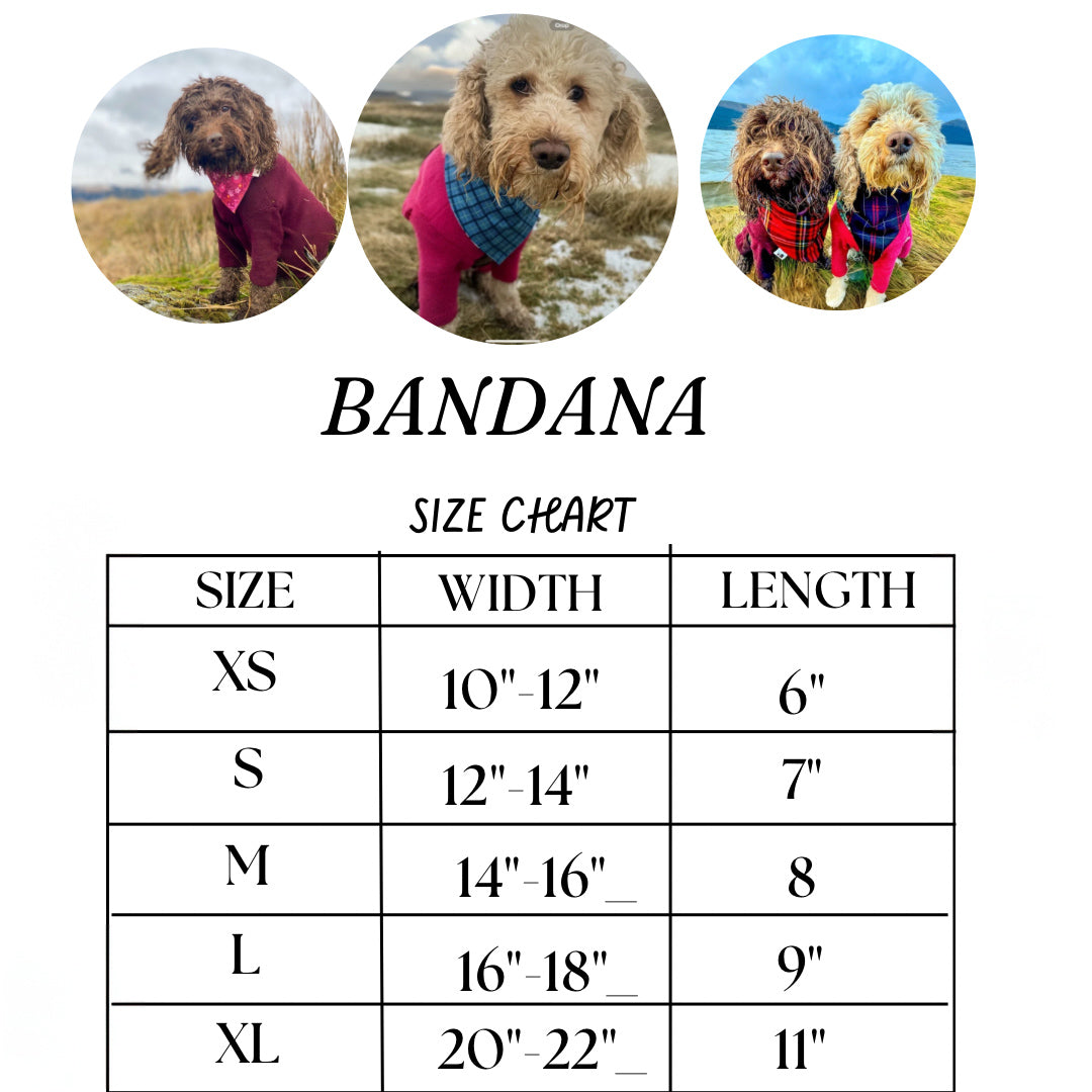 Easter Eggtravaganza Bandana