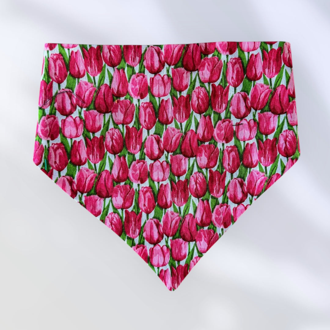 Terrific Tulips
