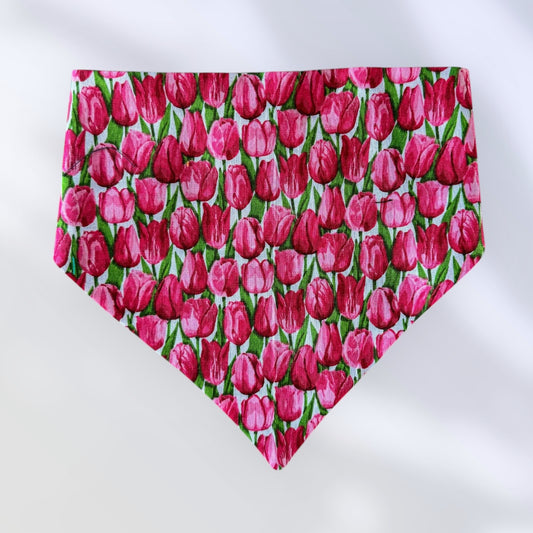 Terrific Tulips