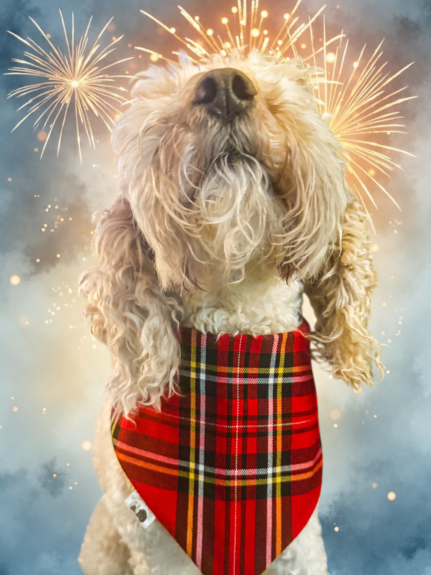 Stewart Tartan Bandana