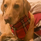 Stewart Tartan Bandana