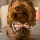 Pretty in Pink Tartan Bow Tie