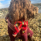 Stewart Tartan Sailor bow