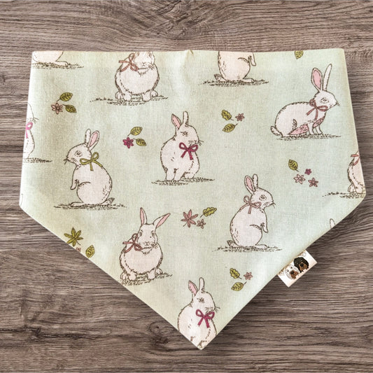 Lucky White Rabbit