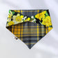 Daffodil Delight