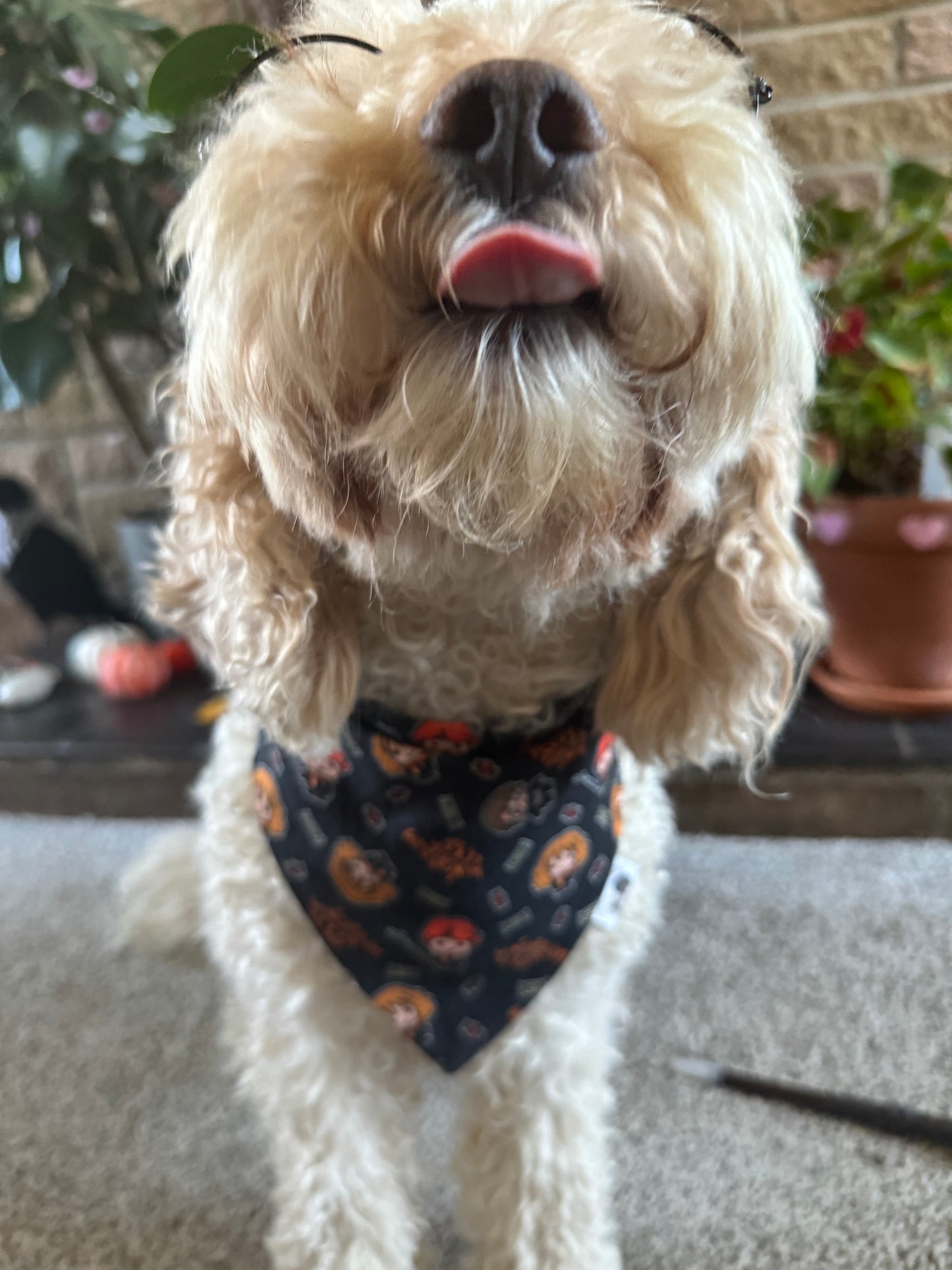 Cast a Spell Bandana