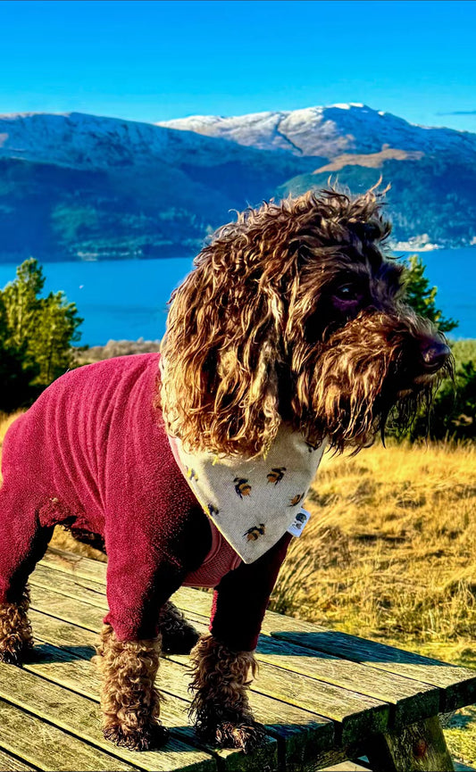 Bee Happy Bandana